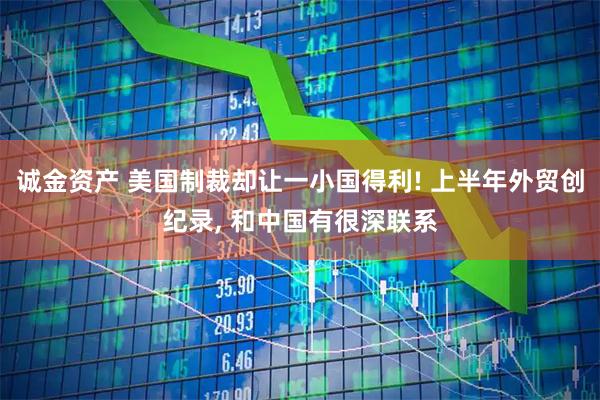 诚金资产 美国制裁却让一小国得利! 上半年外贸创纪录, 和中国有很深联系
