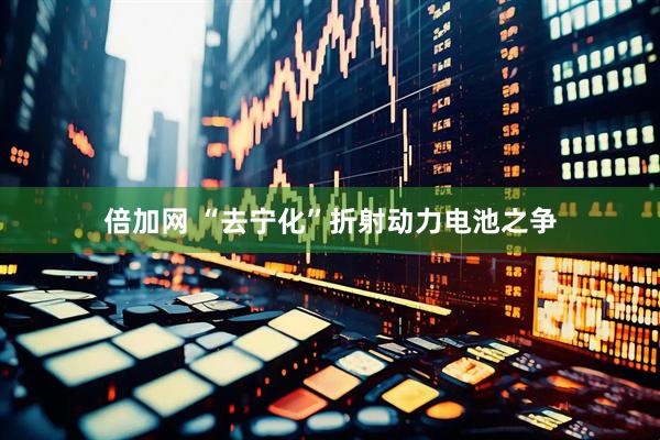 倍加网 “去宁化”折射动力电池之争