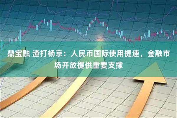 鼎宝融 渣打杨京：人民币国际使用提速，金融市场开放提供重要支撑