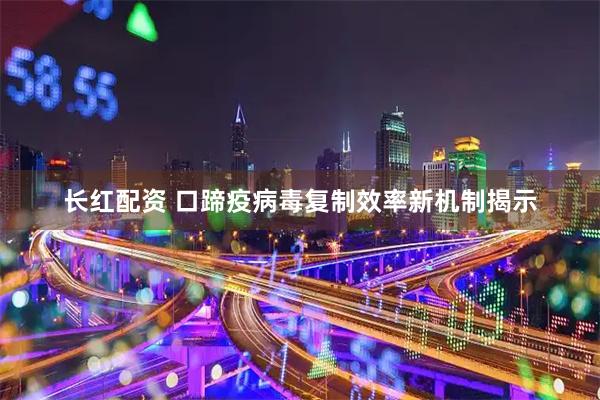 长红配资 口蹄疫病毒复制效率新机制揭示