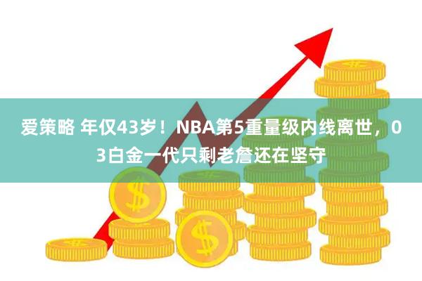 爱策略 年仅43岁！NBA第5重量级内线离世，03白金一代只剩老詹还在坚守
