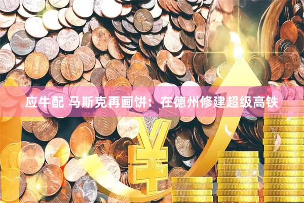 应牛配 马斯克再画饼：在德州修建超级高铁